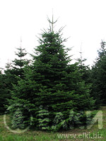 3/IMG_0136.jpg 3/IMG_0136.jpg